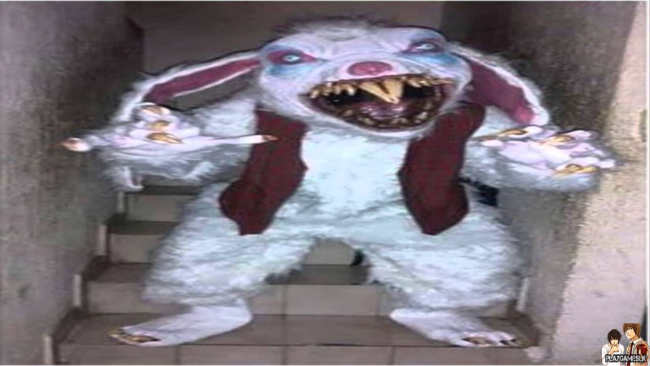 Conejo de Chocolate