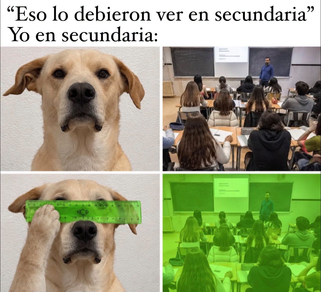 si jui jajaja