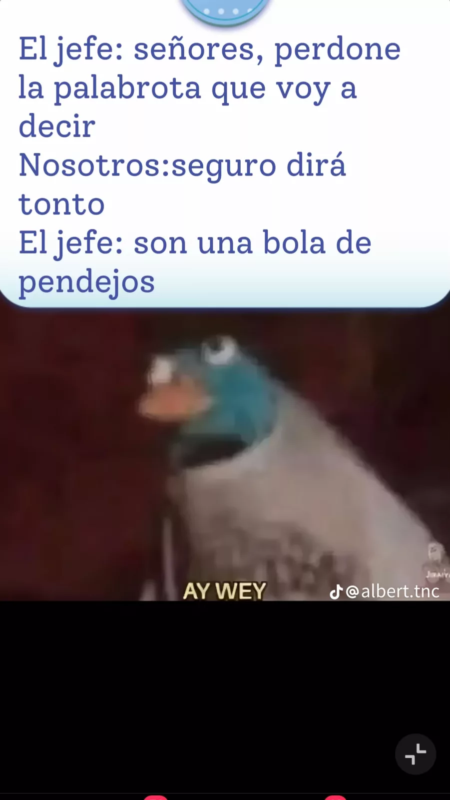 Y como es el ambiente laboral en turinga