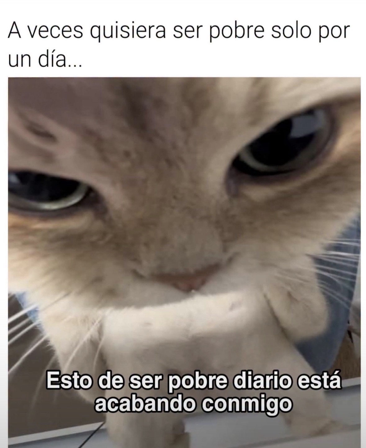#pinchevida