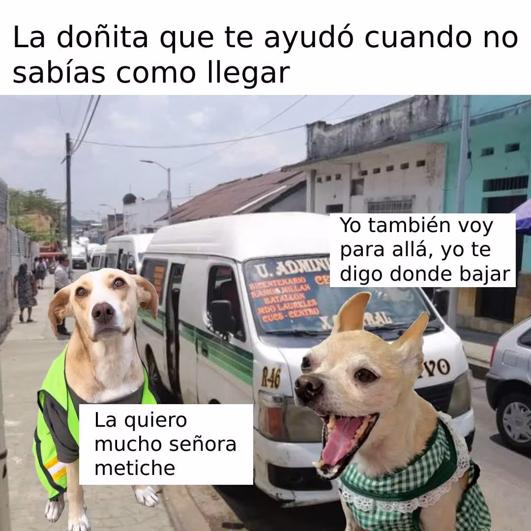 Agradecido de encontrar gente que ayuda #humor #transporte #