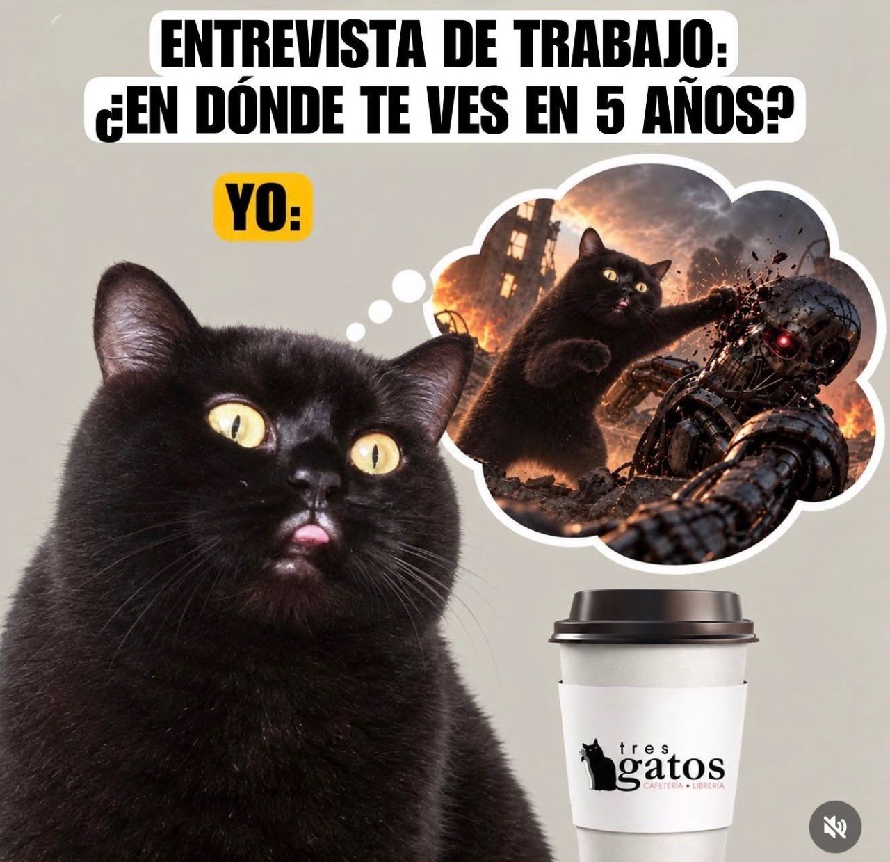 See creo...